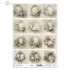 kwiaty, ramy, styl vintage, pastele, elegancja, dekoracja, delikatność, akwarela, botanika, estetyka shabby chic Angielski: flowers, frames, vintage style, pastels, elegance, decoration, delicacy, watercolor, botany, shabby chic aesthetic